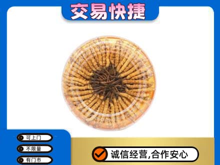 白山回收虫草礼盒
